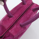 PRADA Hand Bag Suede Purple Gold Auth 185913-6