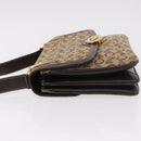 CELINE C Sulky Horse Carriage Shoulder Bag Canvas Beige Gold Auth 185927A-5