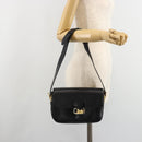 CELINE Horse Carriage Shoulder Bag Leather Gold Black Auth 185997A-24
