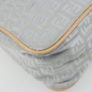 FENDI Zucchino Canvas Shoulder Bag Light Blue Silver Auth 186294A-16