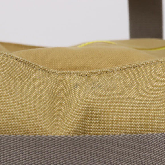LOEWE Loewe Nature Tote Bag Canvas 2way Beige Zilver Auth 186333A