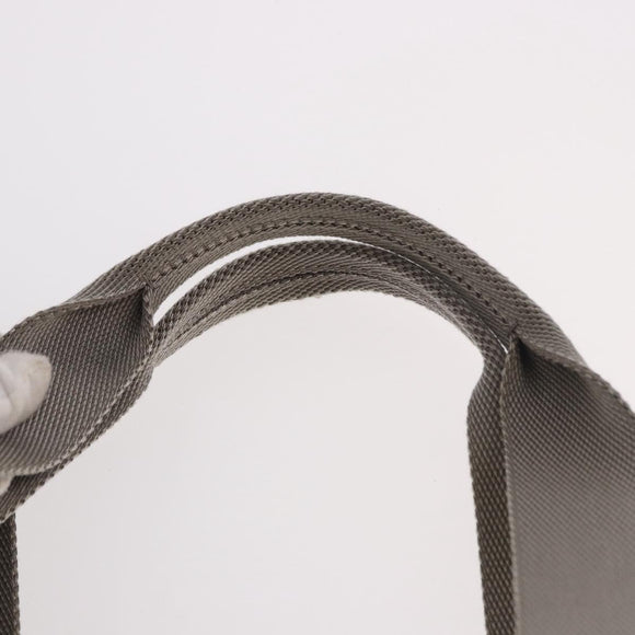LOEWE Loewe Nature Tote Bag Canvas 2way Beige Zilver Auth 186333A