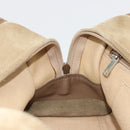 LOEWE Americana 28 Hand Bag Suede Beige Silver Auth 186833A-22