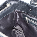 BURBERRY Nova Check Hand Bag Nylon Beige Black Silver Auth 187375A-18