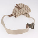 Christian Dior Trotter Canvas Saddle Shoulder Bag Beige Silver Auth 187508SAM-7