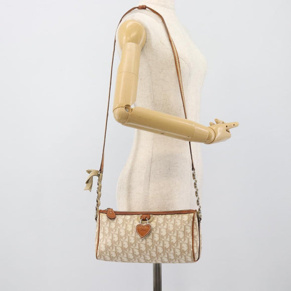 Christian Dior Trotter Canvas Chain Romantic Bag PVC Beige Silver Auth 187607V