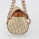 Christian Dior Trotter Canvas Romantic Bag PVC Beige Silver Auth 187615A-4