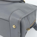LOEWE Amazona 36 Hand Bag Leather Gray Gold Auth 187619V-16