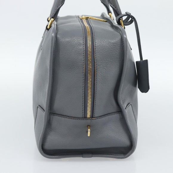 LOEWE Amazona 36 Hand Bag Leather Gray Gold Auth 187619V