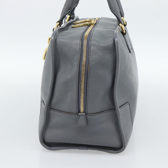 LOEWE Amazona 36 Hand Bag Leather Gray Gold Auth 187619V