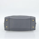 LOEWE Amazona 36 Hand Bag Leather Gray Gold Auth 187619V-5