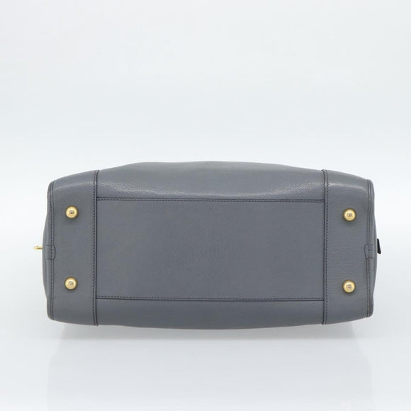 LOEWE Amazona 36 Hand Bag Leather Gray Gold Auth 187619V