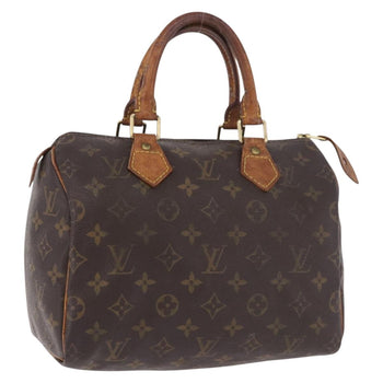 Louis Vuitton Handbags