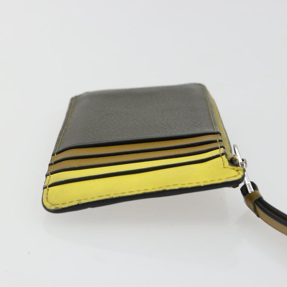 LOEWE Puzzle Card Case Leather Multicolor Silver Auth 189011