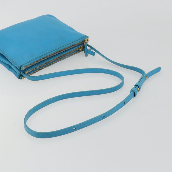 CELINE Trio Shoulder Bag Leather Light Blue Gold Auth 189302
