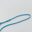 CELINE Trio Shoulder Bag Leather Light Blue Gold Auth 189302-8