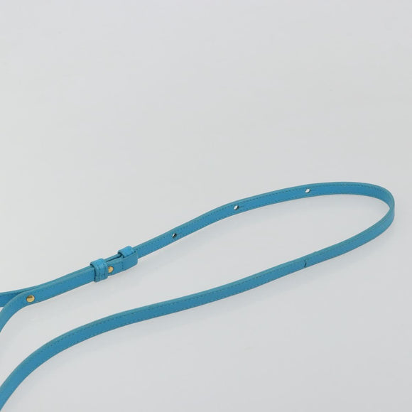 CELINE Trio Shoulder Bag Leather Light Blue Gold Auth 189302