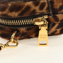 PRADA Shoulder Bag Harako Leather Brown Gold Auth 189306V-17