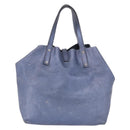 TIFFANY&Co. Reversible Hand Bag Suede Leather Blue Auth 189384-2
