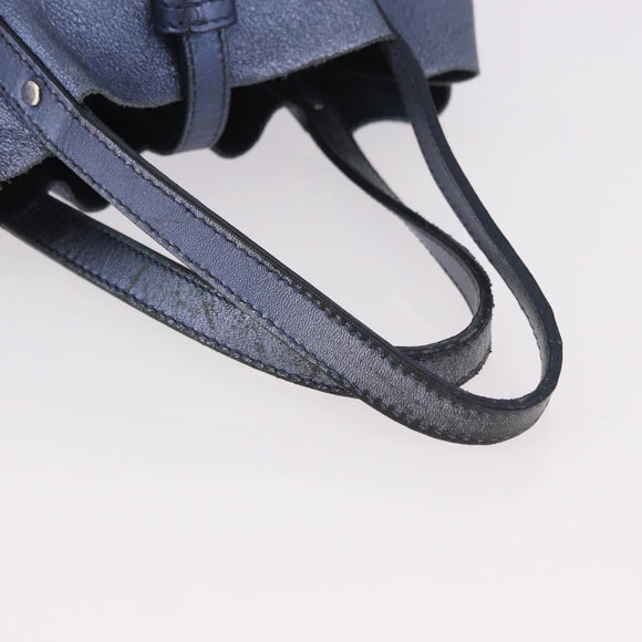 TIFFANY&Co. Reversible Hand Bag Suede Leather Blue Auth 189384