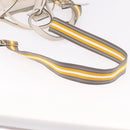 PRADA Hand Bag Vittero Dino Leather 2way White Gold Auth 189711A-9