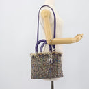 CHANEL Lady Dior Chain Hand Bag tweed 2way Multicolor Silver CC Auth 189825SM-27