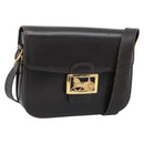 CELINE Horse Carriage Shoulder Bag Leather Dark Brown Gold Auth 189835A-1