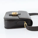 CELINE Horse Carriage Shoulder Bag Leather Dark Brown Gold Auth 189835A-5