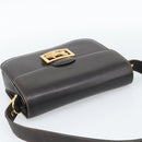 CELINE Horse Carriage Shoulder Bag Leather Dark Brown Gold Auth 189835A-6