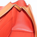 CELINE Trapeze Hand Bag Leather 2way Brown Gold Auth 189874A-22