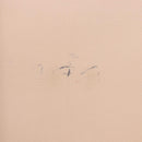 LOUIS VUITTON Monogram Cotoville 45 Clutch Bag M21423 LV Auth 189910A-23