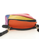 LOEWE Anagram Puzzle Bag Small Bag Leather 2way Multicolor Gold Auth 190046M-6