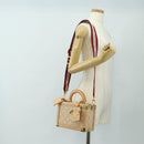 LOUIS VUITTON Miaowgram Petite Vallees Hand Bag Beige M14592 LV Auth 190136SM-36