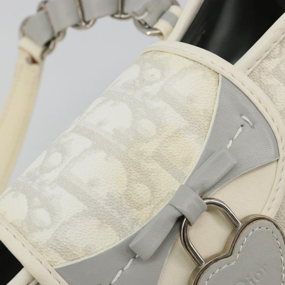 Christian Dior Trotter Canvas Romantic Chain Bag PVC White Silver Auth 190241SAM
