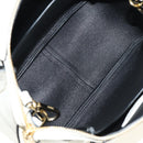 PRADA Hand Bag Vittero Dino Leather 2way White Gold Auth 190387V-11