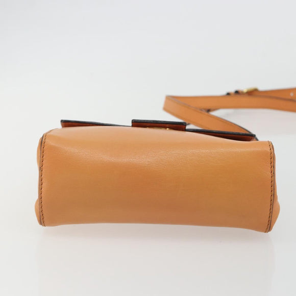 CELINE Circle Shoulder Bag Leather Orange Gold Auth 190471A