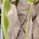 GUCCI Patent Hand Bag 2way Lime Green Silver Auth 190559-21