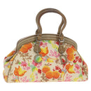 Christian Dior Boston Bag Canvas Multicolor Silver Auth 190638M-1