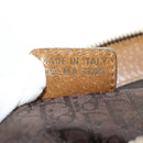 Christian Dior Boston Bag Canvas Multicolor Silver Auth 190638M-24
