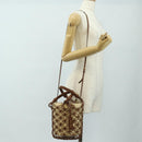 Miu Miu Hand Bag Straw 2way Brown Gold Auth 190660SAM-29
