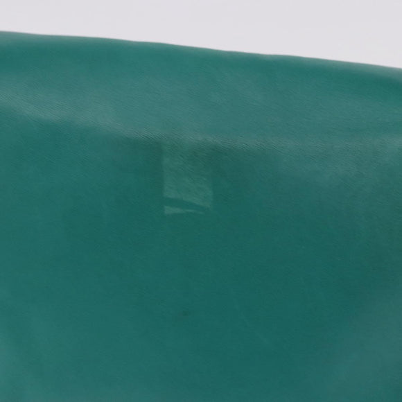 LOEWE Shoulder Bag Leather Green Gold Auth 190720A