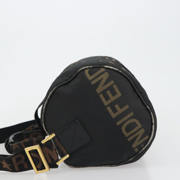 FENDI Hand Bag Canvas 2way Black Gold Auth 191061