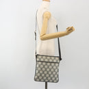 LOEWE Shoulder Bag Canvas Gray Silver Auth 191354-24