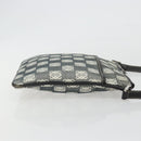 LOEWE Shoulder Bag Canvas Gray Silver Auth 191354-4