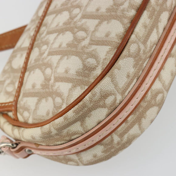 Christian Dior Trotter Romantic Chain Shoulder Bag Beige Silver Auth 191723A