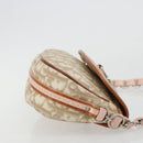 Christian Dior Trotter Romantic Chain Shoulder Bag Beige Silver Auth 191723A-4