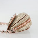 Christian Dior Trotter Romantic Chain Shoulder Bag Beige Silver Auth 191723A-5