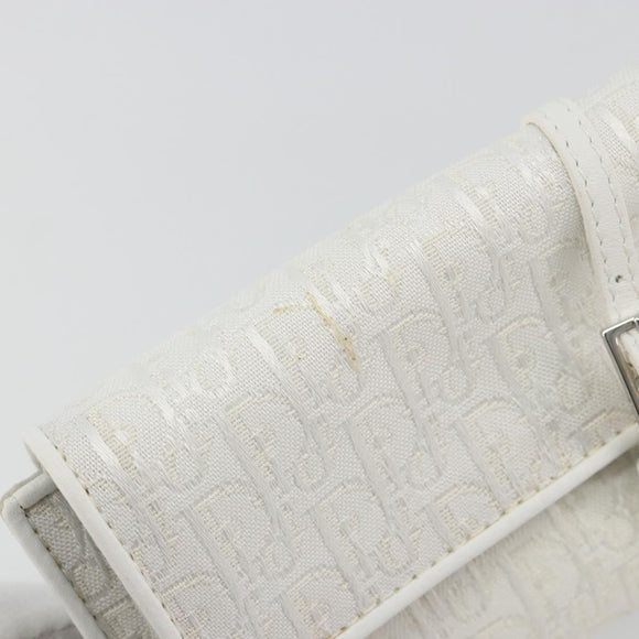 Christian Dior Trotter Canvas Roll Up Pouch White Silver Auth 192517A