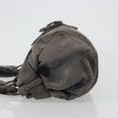 LOEWE Tote Bag Suede Gray Silver Auth 192813-4