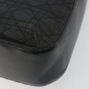 Christian Dior Canage Shoulder Bag Nylon Black Gold Auth 193102-12